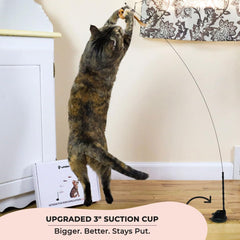 Interactive bird simulation cat toy set, self holding suction cup, 5 replacement birds, feathers and bells, realistic bird impression
