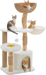 Indoor cat cactus cat tree, 32 inch small cat tower cat apartment with sisal scratch ramp