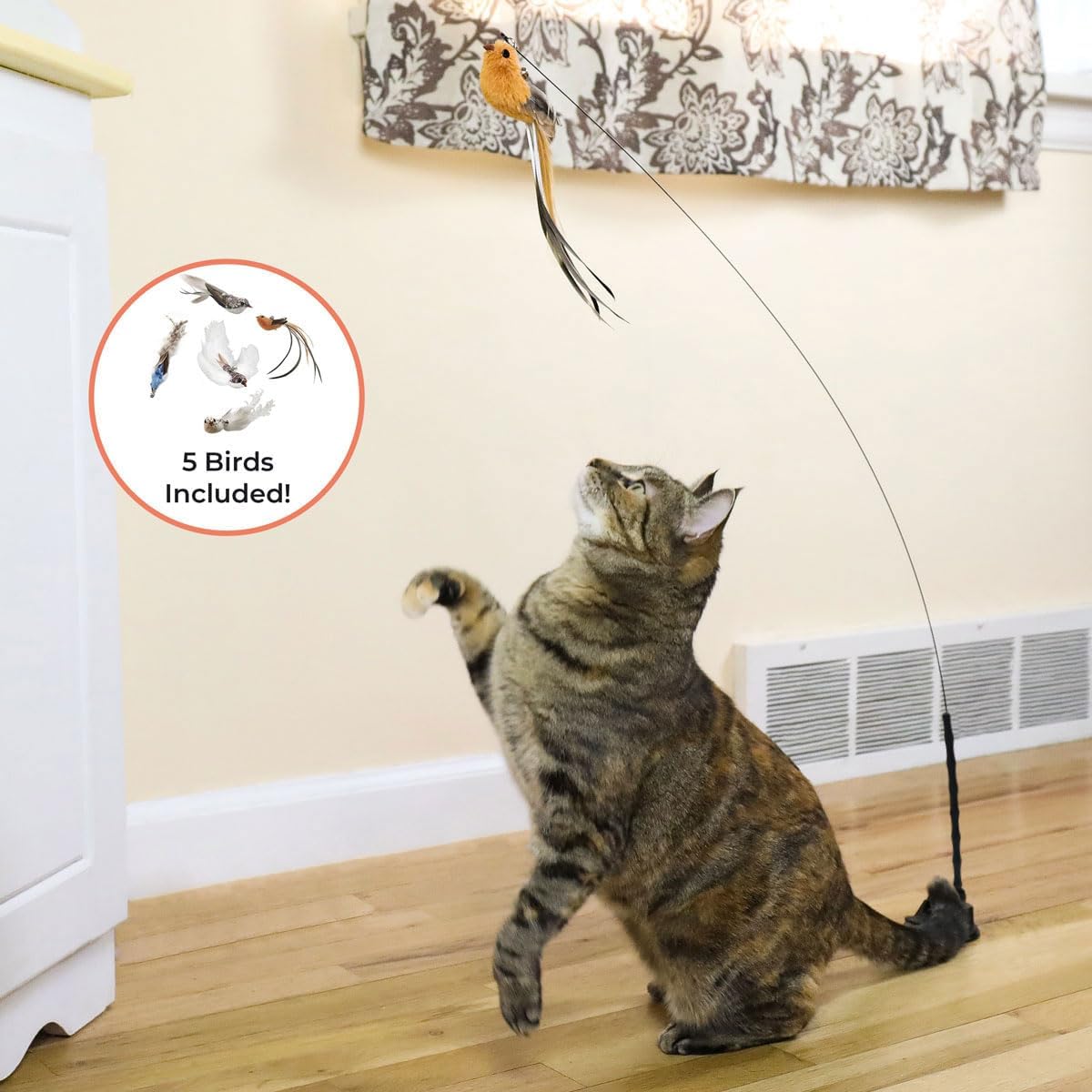Interactive bird simulation cat toy set, self holding suction cup, 5 replacement birds, feathers and bells, realistic bird impression