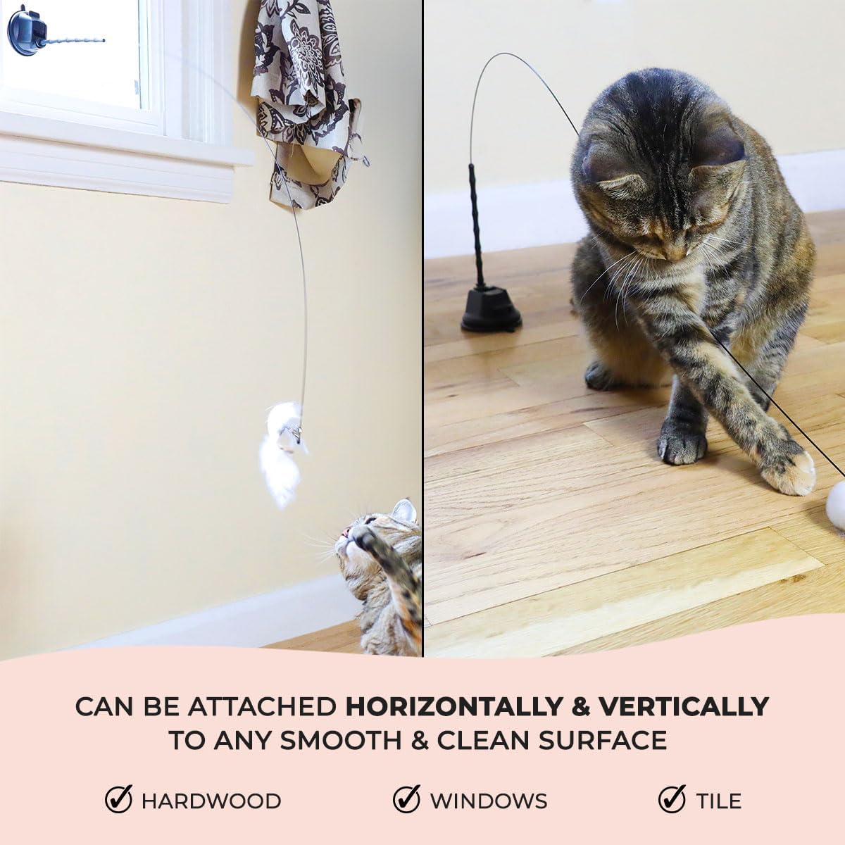 Interactive bird simulation cat toy set, self holding suction cup, 5 replacement birds, feathers and bells, realistic bird impression