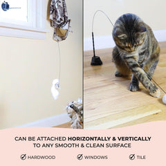 Interactive bird simulation cat toy set, self holding suction cup, 5 replacement birds, feathers and bells, realistic bird impression
