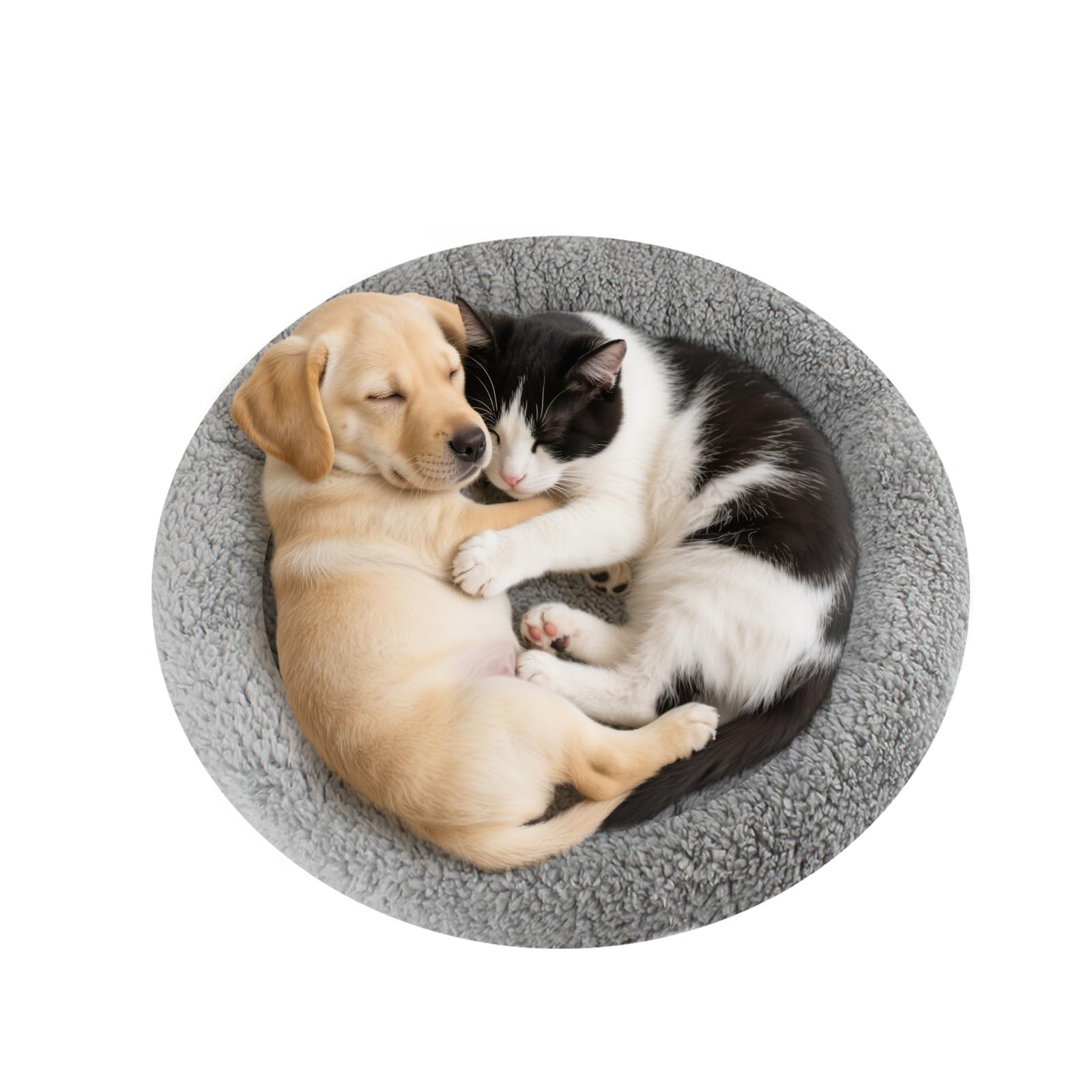 Comfortable cat bed 10 "x 15" pet bed with pillows around, suitable for small dogs and cats
