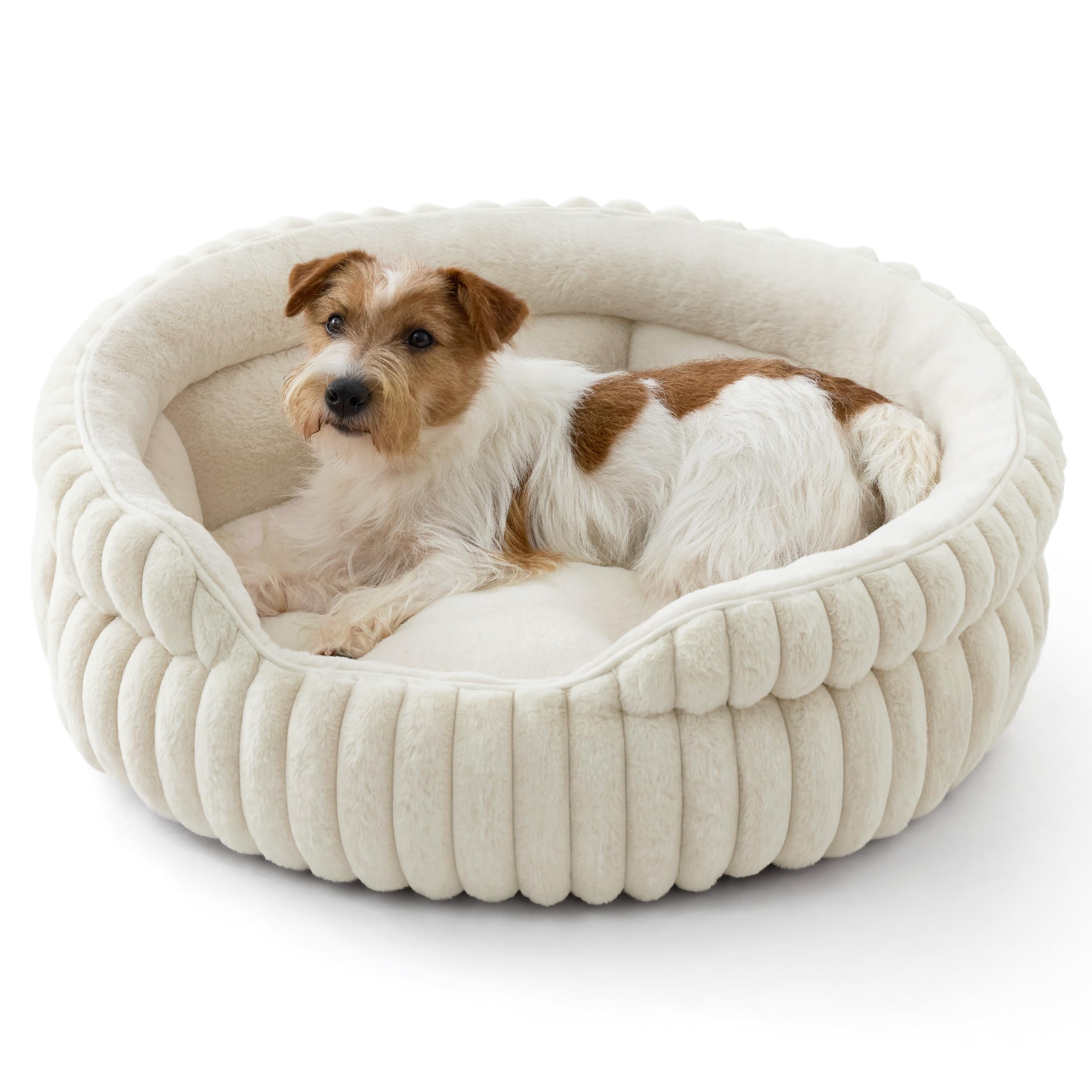Cat bed, washable round cute pet bed, suitable for indoor cats, 20 inches x 20 inches x 8 inches, cream color