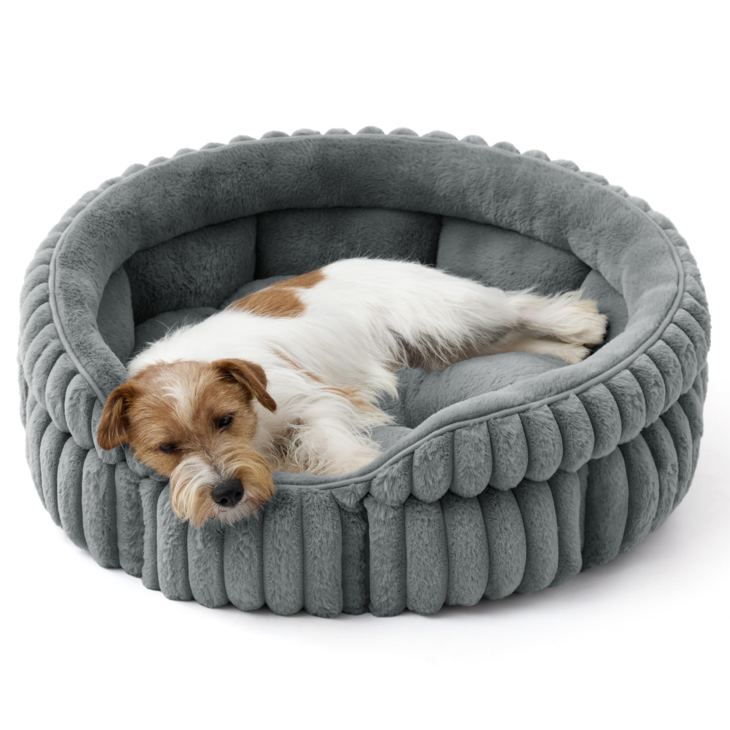 Cat bed, washable round cute pet bed, suitable for indoor cats, 20 inches x 20 inches x 8 inches, cream color
