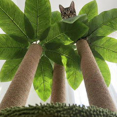 31.5-inch cat scratching pole, equipped with 3 scratching poles and 2 interactive shaking balls for cat scratching trees, indoor cat and adult cat scratching poles