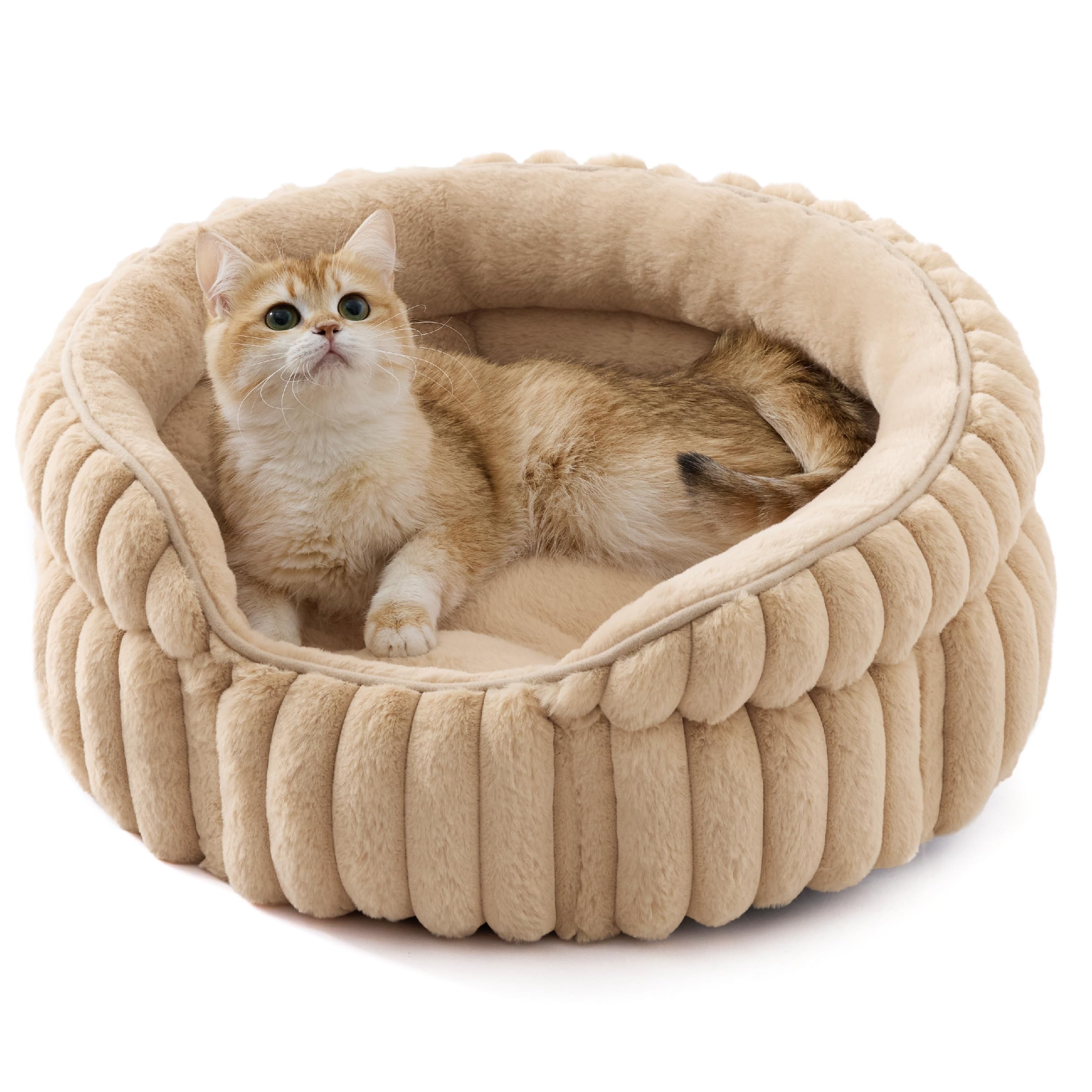 Cat bed, washable round cute pet bed, suitable for indoor cats, 20 inches x 20 inches x 8 inches, cream color